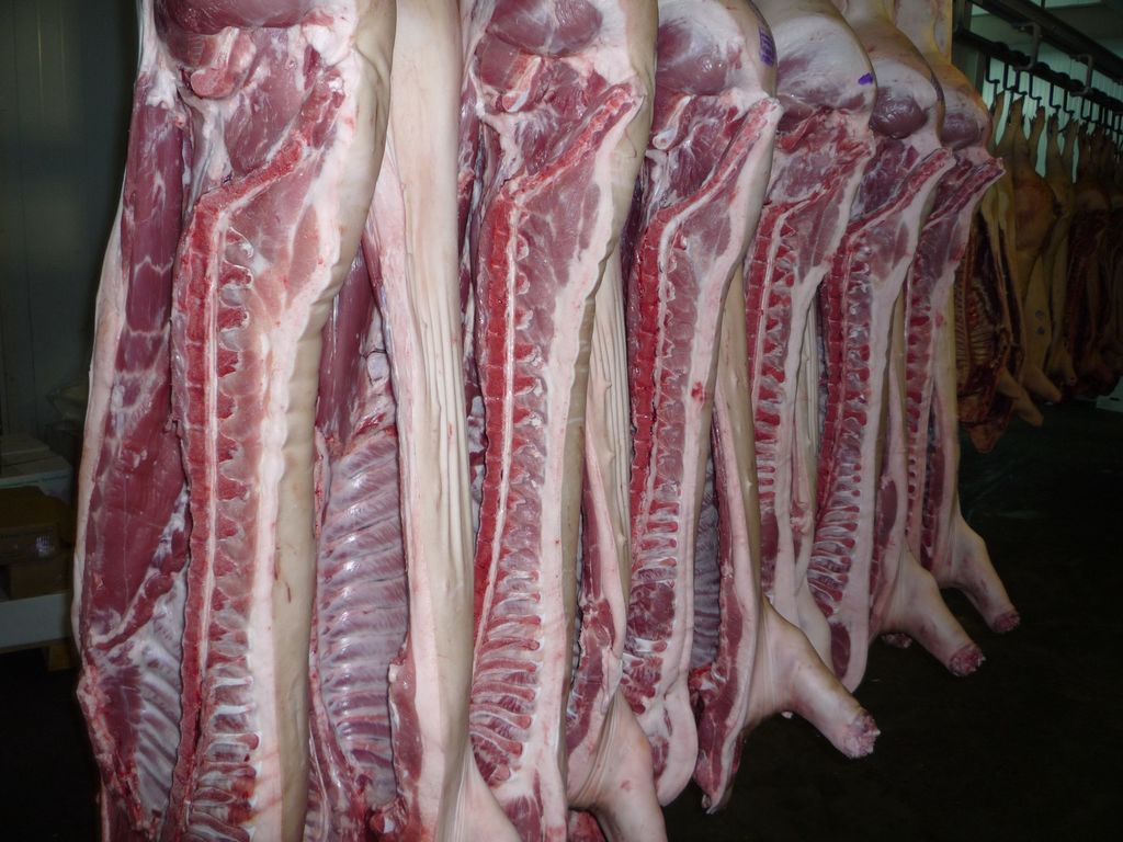 Полутуши свиные без/категории охлажденные ( подсвинки тех. забой 20-30 кг)