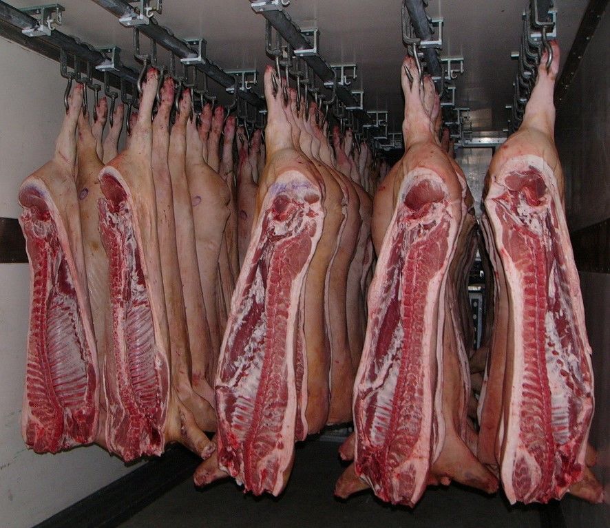 Полутуши свиные 4 кат. охлажденные (свиноматки 60-70 кг)