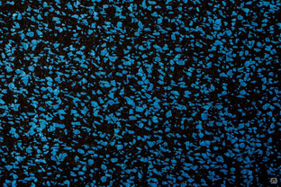 NEW BS — 2002 чёрно-синий 6мм 1000х1000 (10м рулон) 