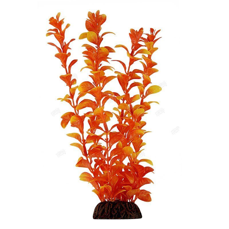 Растение "Людвигия" оранжевая, 200мм 74044029 Laguna
