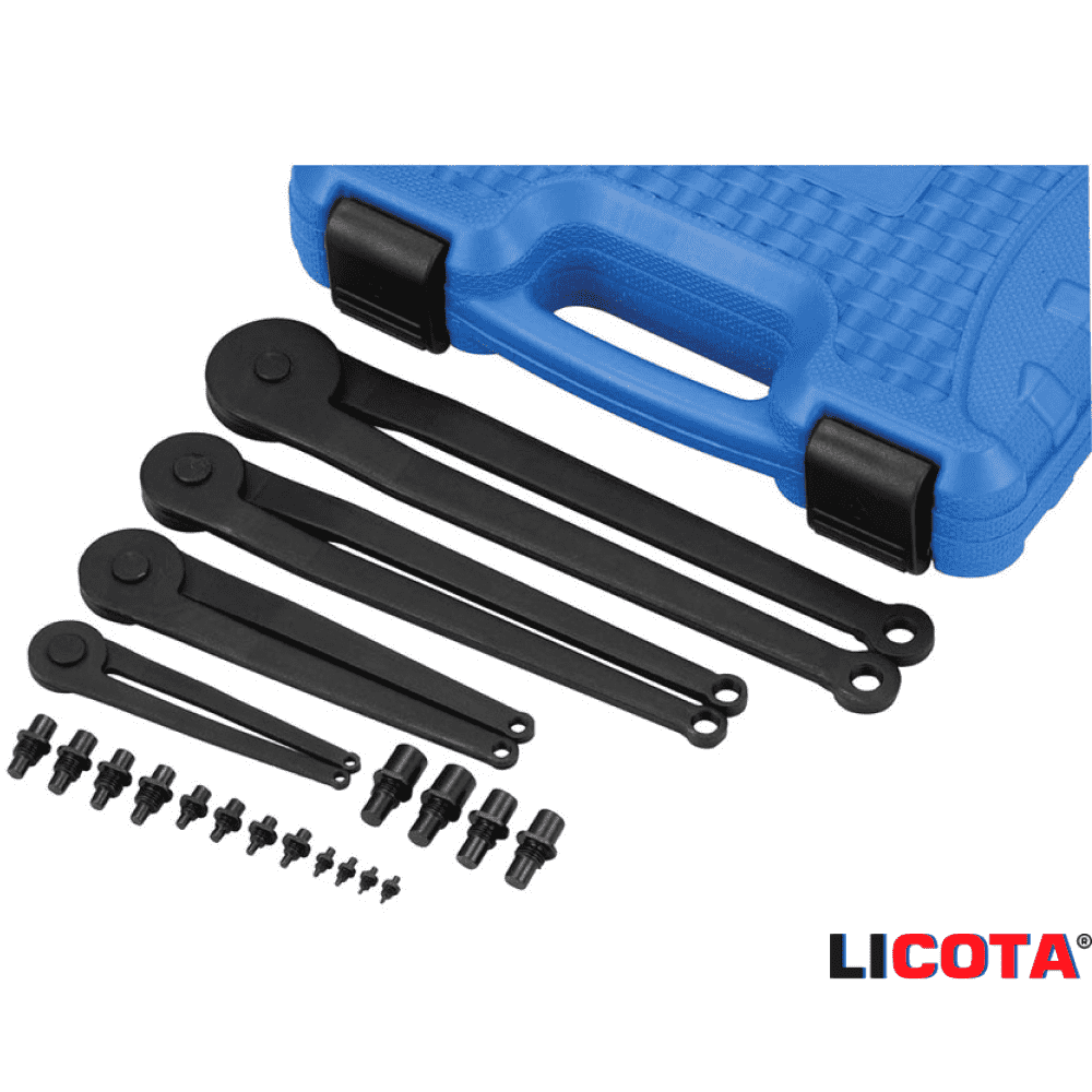 Набор ключей штифтовых регулируемых "LICOTA" 1,5-12 мм 20 предм.