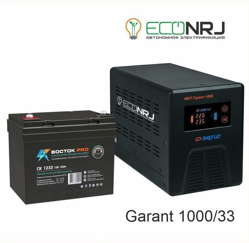 Источник бесперебойного питания Энергия Гарант-1000 + Восток Pro CK-1233