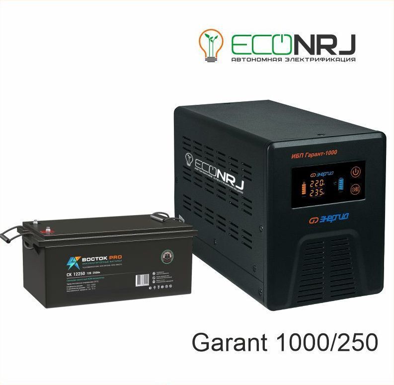 Источник бесперебойного питания Энергия Гарант-1000 + Восток Pro CK12250