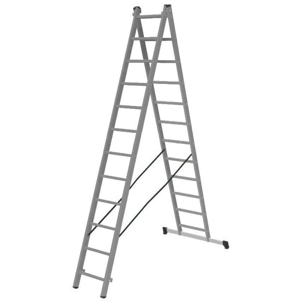 Двухсекционная лестница Gigant L-02