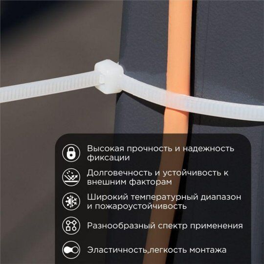 Изделия крепежные для кабеля REXANT Хомут кабельный 3.6х250 нейл. бел. (уп.100шт)