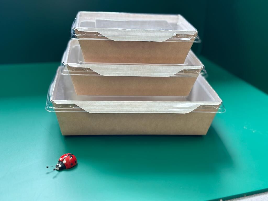 Коробка для десертов 207х127х55 с крышкой