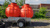 Септик Биосток 4 энергонезависимый объем 2000 литров для дачи, коттеджа #20
