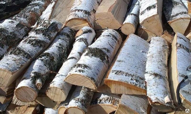 Дрова березовые колотые с доставкой Раздолье, цена в Санкт-Петербурге ...
