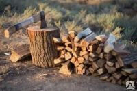 Смесь дров (береза, осина, ольха) с доставкой Стрельна
